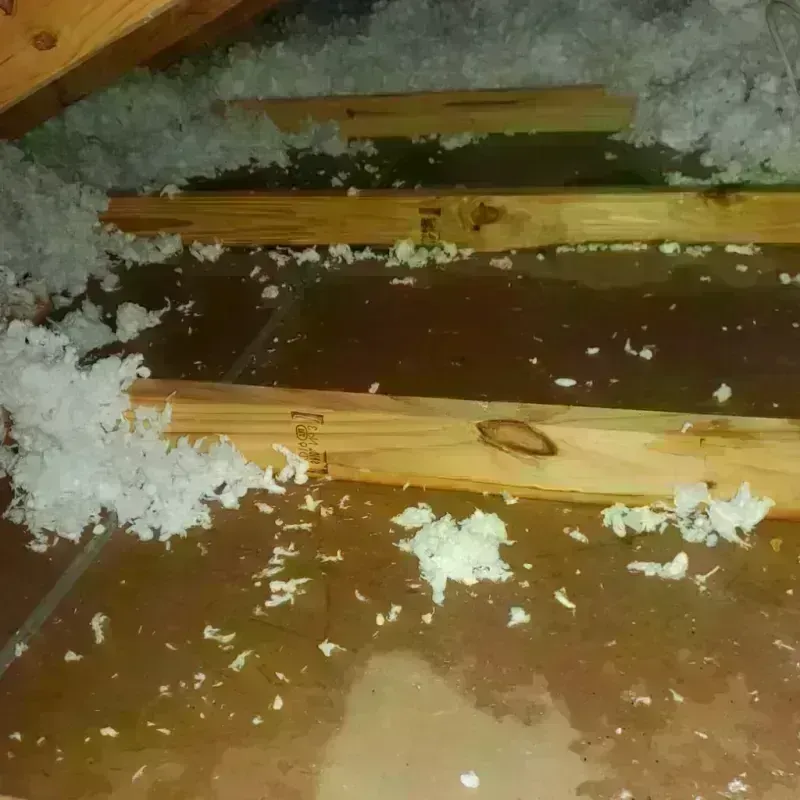 Attic Water Damage in East Aurora, NY