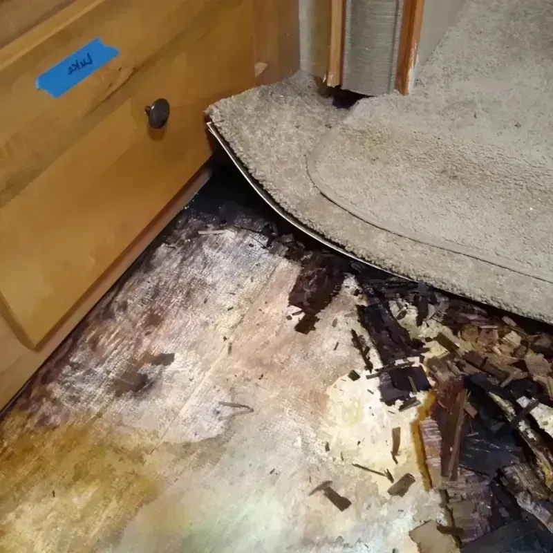 Wood Floor Water Damage in East Aurora, NY